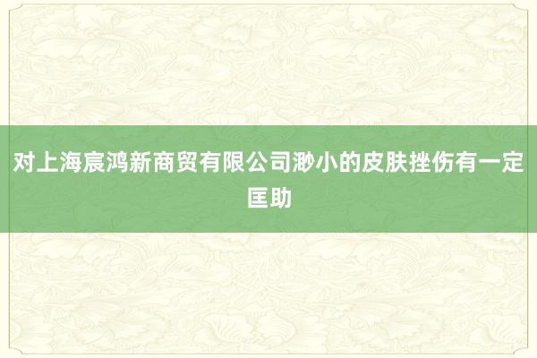 对上海宸鸿新商贸有限公司渺小的皮肤挫伤有一定匡助