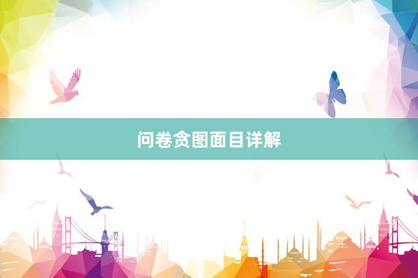 问卷贪图面目详解