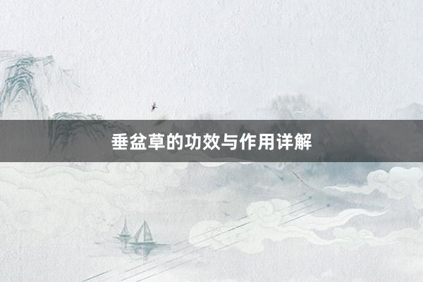 垂盆草的功效与作用详解