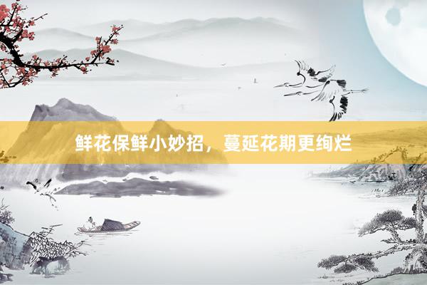 鲜花保鲜小妙招，蔓延花期更绚烂