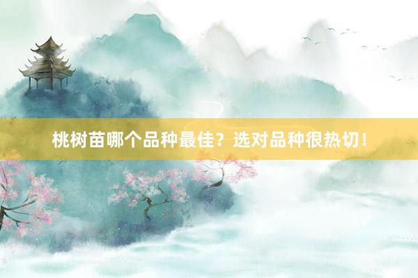 桃树苗哪个品种最佳？选对品种很热切！