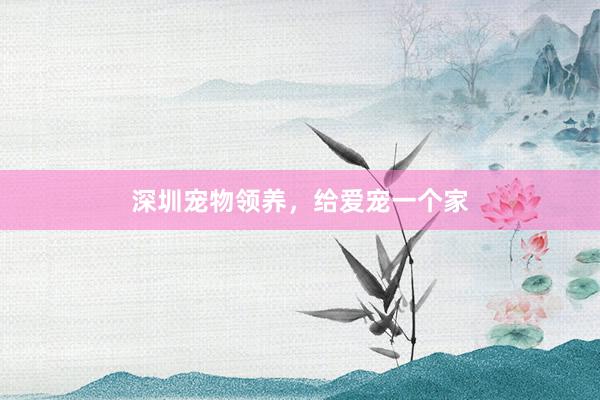 深圳宠物领养，给爱宠一个家