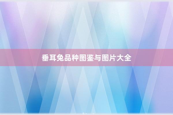 垂耳兔品种图鉴与图片大全
