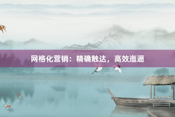 网格化营销：精确触达，高效迤逦